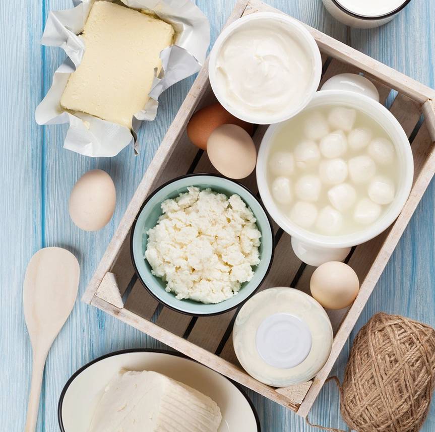 Dairy products on wooden table. Sour cream, milk, cheese, egg, yogurt and butter.